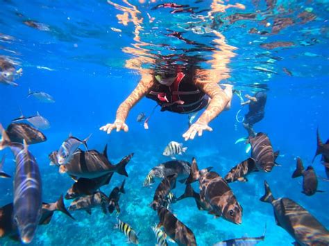 Cancun: Cozumel Snorkeling Experience