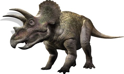 Triceratops - Walking With Wikis - the free Walking with... encyclopedia