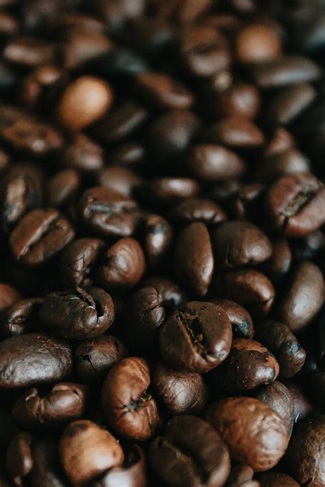 Free Stock Photo of Close Up Coffee Bean Texture — HD Images