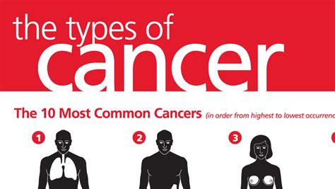 The most common types of cancer - Primary Medical Care Center for Seniors in Miami, Broward ...