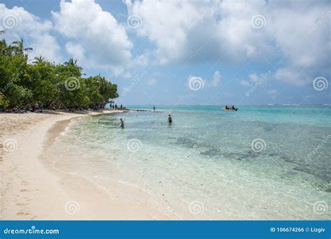 Mystery Island Beach Swimming Editorial Photo - Image of island, group: 106674266