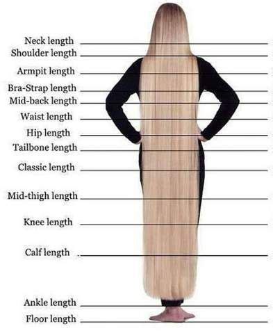 length chart for express wig braids | Hair length chart, Long hair ...