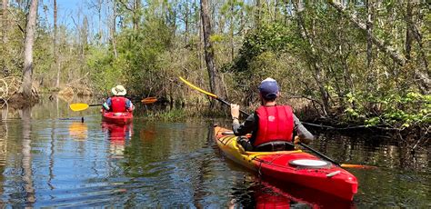 Outer Banks Kayak Tours • #1 Rated • National Geographic Top Adventure