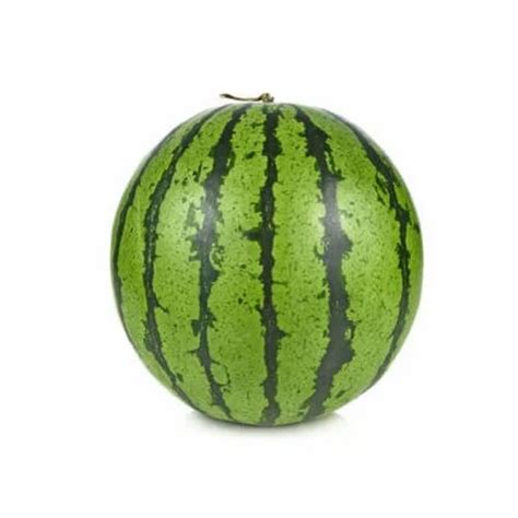 A Grade Fresh Watermelon Fruit, Packaging Type: Loose at Rs 13.5/kg in ...