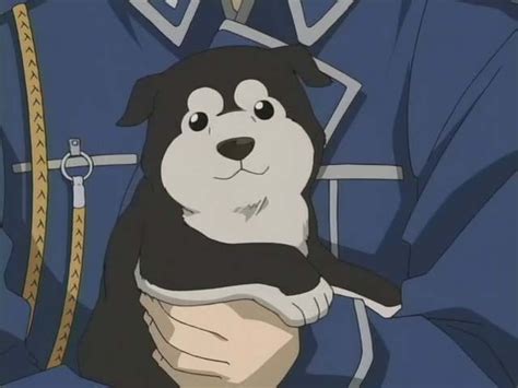 Who the cuter dog/puppy? Poll Results - Fullmetal Alchemist: Brotherhood - Anime - Fanpop