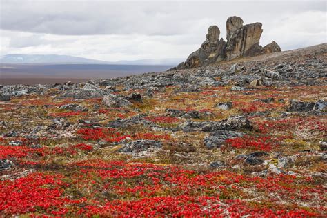 Alaska National Parks: Glacial Landscapes, Explorers, and First People