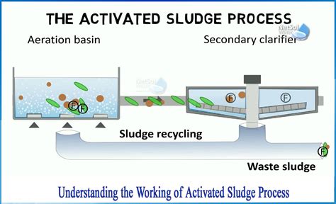 Activated Sludge Process Diagram