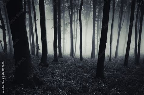 dark forest background, Halloween scary atmosphere Stock Photo | Adobe Stock