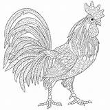 Chicken And Rooster Coloring Pages sketch template