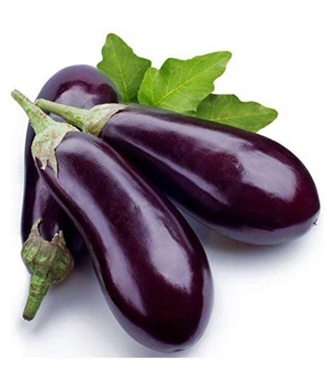 Brinjal Vegetable Seeds: Buy Brinjal Vegetable Seeds Online at Low ...