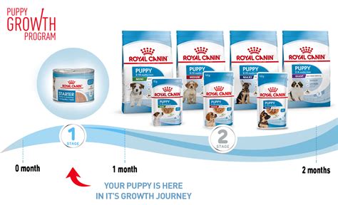 Royal Canin Starter Mousse Mother & Babydog | zooplus.co.uk