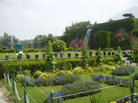 Mughal Garden Srinagar - India Travel Forum | IndiaMike.com