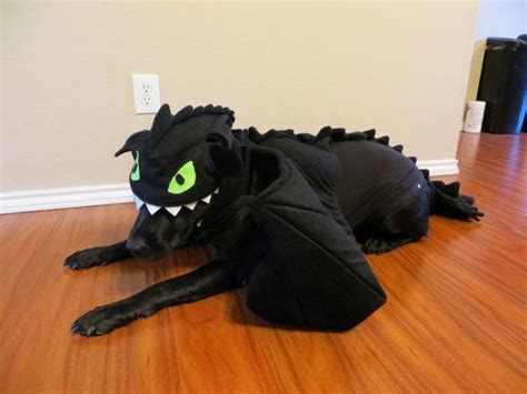 Toothless Dragon Dog Costume