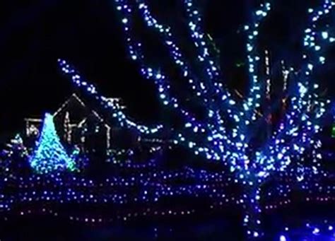 ROAD TRIP WORTHY: Christmas Lights At Maine Botanical Gardens