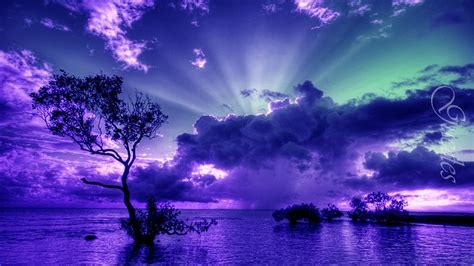 Beautiful nature | Natureza bela, Céu roxo, Amor roxo