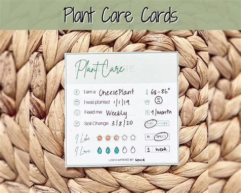 PLANT CARE Instructions Card Printable Plant Tags DIGITAL - Etsy
