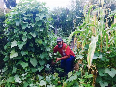 Permaculture your Vegetable Garden