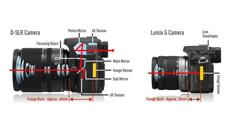 Differences Between DSLR and Mirrorless Camera You Should Know - Letstravelntt