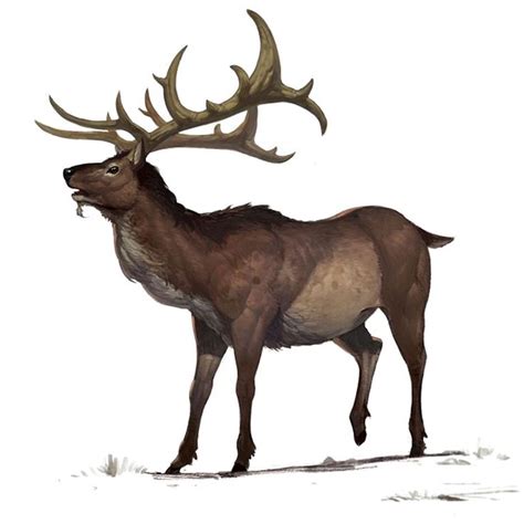 Giant Deer Art - Bless Online Art Gallery | Deer art, Fantasy creature art, Creature concept art