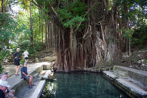 Century Old Balete Tree – Fish spa | Siquijor island - information