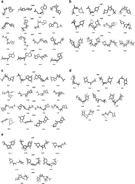 'Best sampled' ligand structures for all 62 test cases superposed on... | Download Scientific ...