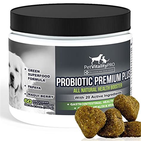 Best Dog Probiotics | Reviews of the Best Probiotics for Dogs | Retrievist