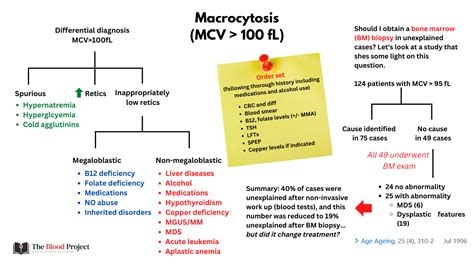 Macrocytic Anemias • The Blood Project