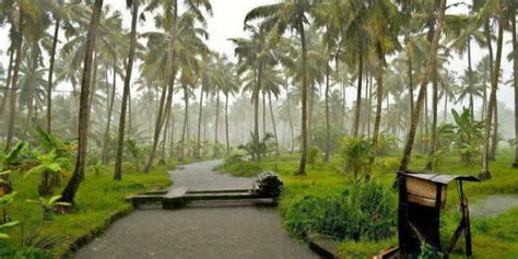 Heavy rain in Kerala as Southwest Monsoon nears | Skymet Weather Services