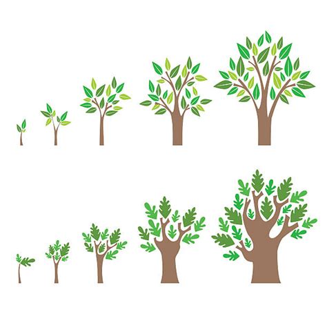 growing tree clipart 10 free Cliparts | Download images on Clipground 2024