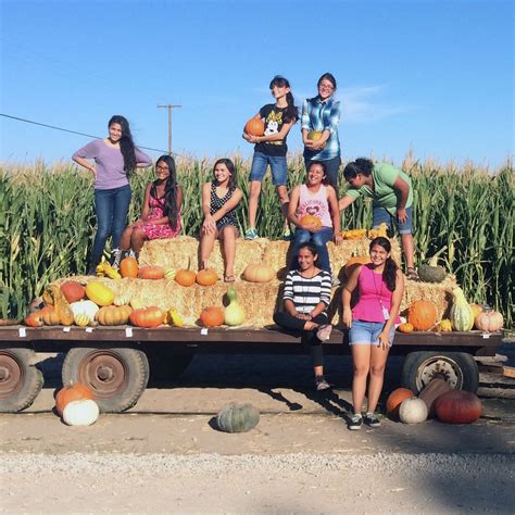 Turlock Pumpkin Patch - R.A.M. Farms Inc.