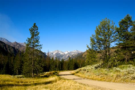 Road Into Wyoming Forest Free Stock Photo - Public Domain Pictures