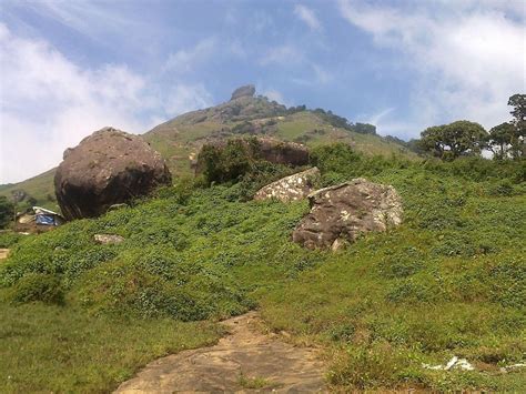 The Velliangiri Mountains, a part of the Nilgiri Biosphere Reserve, are ...