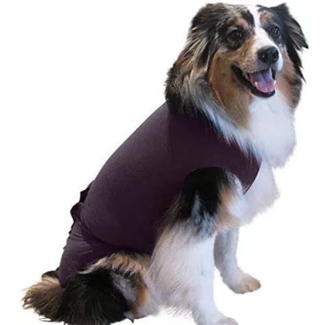 The Best Dog Anxiety Vest That Actually Works - Trusty Tails Pet Care