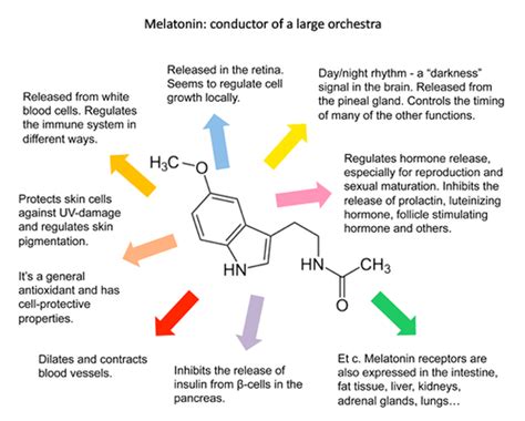 Pineal gland Melatonin Melanin - Are You Ready for a Change?