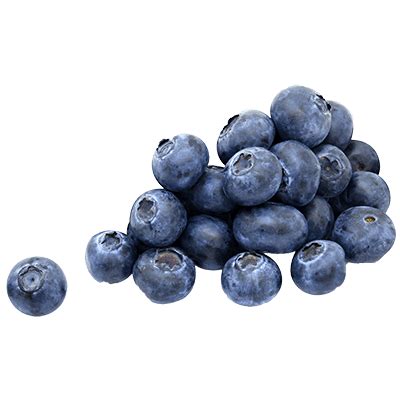 Single Blueberry transparent PNG - StickPNG