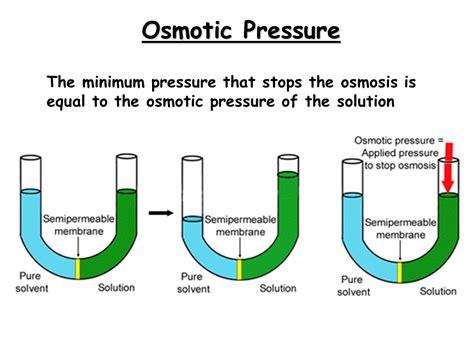 Colligative Properties of Solutions - Presentation Chemistry