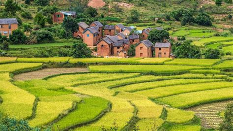 Rice terraces and Merina villages along National Route 7 south of ...