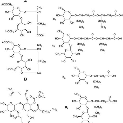 Molecular structure of some biosurfactants (A) surfactin produced by ...