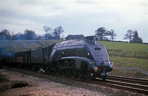 A4 60017 Silver Fox on goods near Hadley Wood. 1963. | Flickr