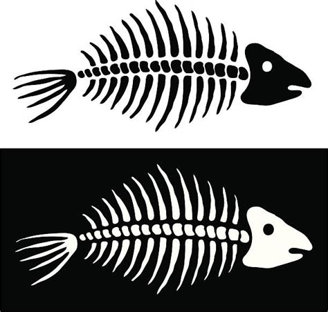 20+ Endoskeleton Animals Stock Illustrations, Royalty-Free Vector Graphics & Clip Art - iStock