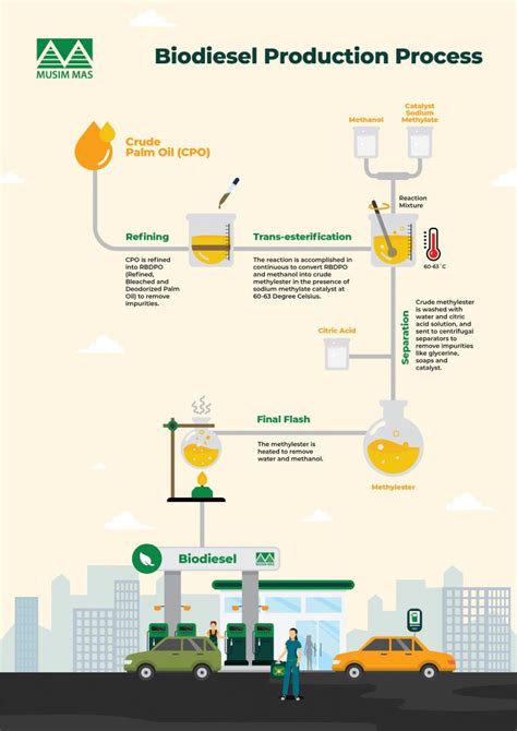 How is Palm Oil Made into Biodiesel? - Musim Mas