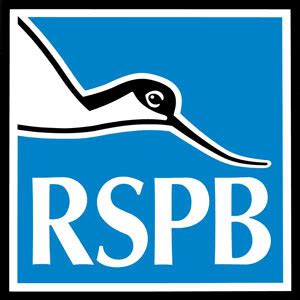 Lucy Grewcock: RSPB Steps Over the Line