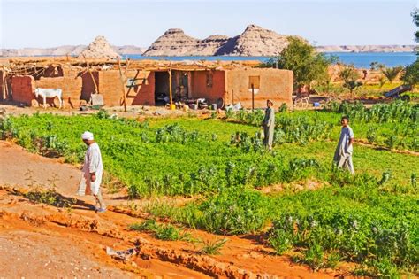 Egyptian farmers in the field « Inhabitat – Green Design, Innovation ...