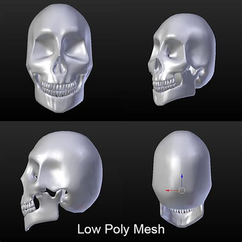 Skull - Blender3D 3D Model in Anatomy 3DExport