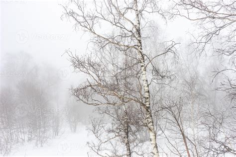 Covered with snow Caucasus mountain 7293759 Stock Photo at Vecteezy