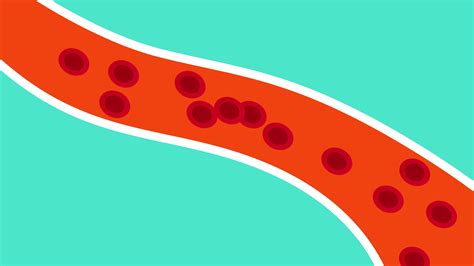 Fat blocking blood circulation inside a blood vessel 4K animation ...