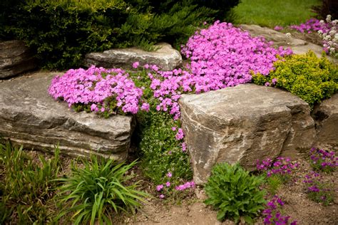 30 Flower Bed Ideas for 2019 - Buy, Install and Maintain Artificial Grass