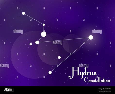 Hydrus hi-res stock photography and images - Alamy