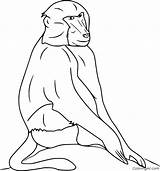 15 Free Printable Baboon coloring Pages Easy To Print From Any Device  sketch template