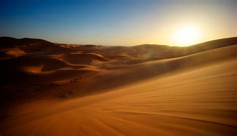 The Sun Sets in the Sahara Desert | Sunset, Wonders of the world, World photography